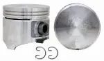 P30046STD - : Engine Piston Set for Enginetech Image