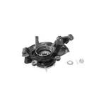 9750300 - : Suspension Knuckle Assembly for GSP Image