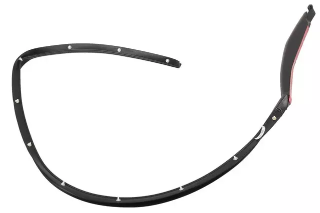 15291984 - Body: Lower Weather-strip for GM Image