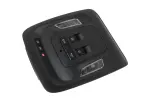 42893166 - : F Console for GM Image