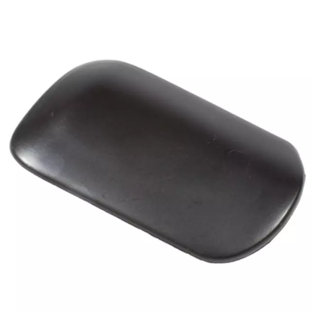 6L2Z7816160AAPTM - Body: Body Side Molding for Ford Image