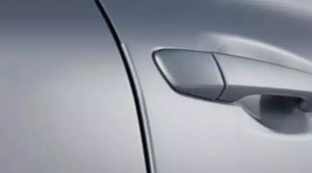 Door Edge Guards - Stargazer Black Metallic - Lexus (pt9364811022)