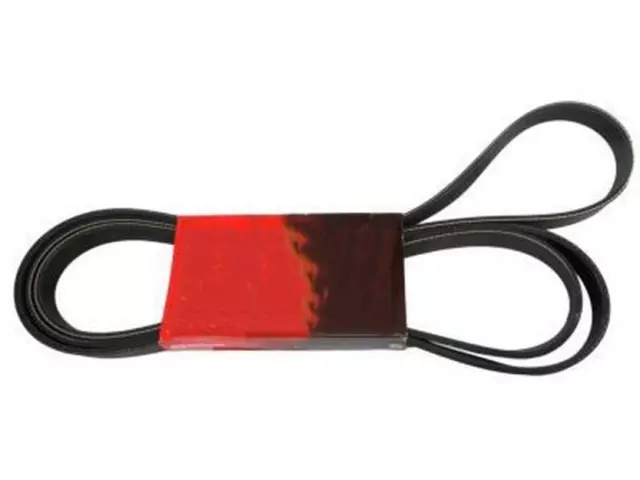 YL3Z8620BA - Cooling System: Serpentine Belt for Ford: F-150, F-150 Heritage Image