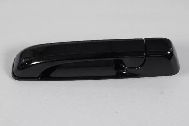 1GH19GBSAC - Doors, Door Mirrors and Related Parts: Exterior Door Handle, Left for Dodge: Ram 1500 | Ram: 1500 Image