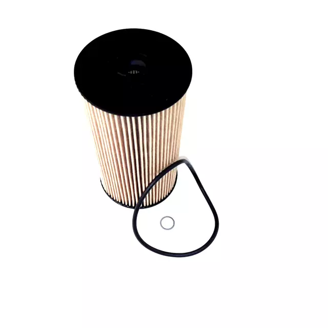 Oil Filter - Volkswagen (079-198-405-A)