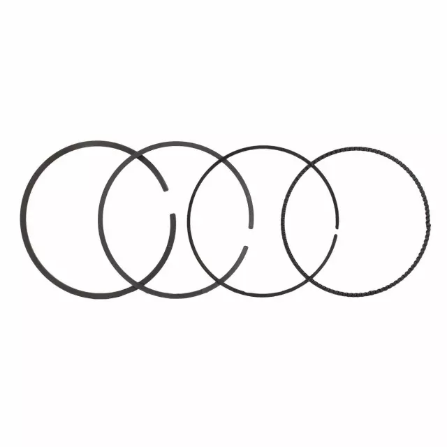 CM5Z6148G - Engine: Piston Rings for Ford: C-Max, EcoSport, Focus, Fusion, Police Responder Hybrid, SSV Plug-In Hybrid, Transit Connect | Lincoln: MKZ Image