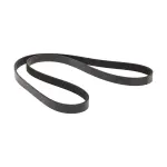 117206RC0A - Cooling System: Serpentine Belt for Nissan Image