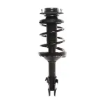 817013 - : PRT 817013 Suspension Strut and Coil Spring Assembly for PRT PERFORMANCE RIDE Image