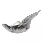 GB5Z9A462A - : Exhaust Manifold Heat Shield for Ford: Explorer, Flex, Police Interceptor Sedan, Police Interceptor Utility, Taurus | Lincoln: MKS, MKT Image