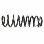 BR3Z5560C - : Coil Spring for Ford: Mustang Image