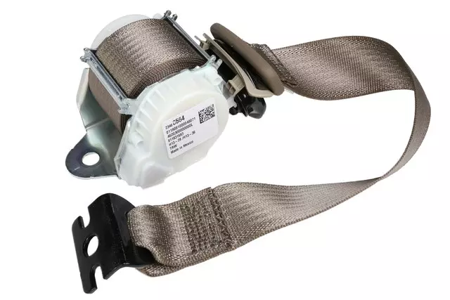 19303062 - Electrical: Outer Belt Assembly for Cadillac: Escalade ESV | Chevrolet: Suburban, Suburban 3500 HD | GMC: Yukon XL Image