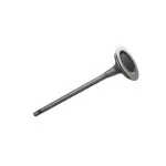 68453300AA - 2.4L I4 Gas; Engine: Exhaust Valve for Chrysler: 200 | Dodge: Dart | Fiat: 500X | Jeep: Cherokee, Compass, Renegade | Ram: ProMaster City Image
