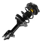 11923 - : Unity Automotive Suspension Strut and Coil Spring Assembly for Unity Automotive Image