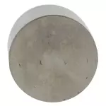 CM5Z6500AB - : Engine Camshaft Follower for Ford: EcoSport, Fiesta, Focus Image