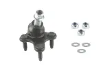 X52BJ4395 - : Ball Joint for SUSPENSIA Image
