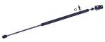 611661 - : Liftgate Lift Support for Tuff Support Image