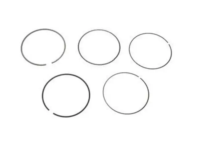 BL3Z6148C - Engine: Piston Rings for Ford: Expedition, F-150, Flex, Police Interceptor Sedan, Taurus, Transit-150, Transit-250, Transit-350, Transit-350 HD | Lincoln: MKS, MKT, Navigator Image
