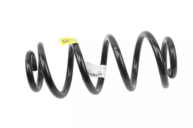 42743543 - Suspension: Coil Spring for GM Image