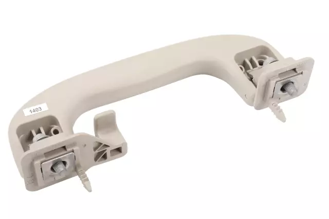 Opel Gray Passenger Side Roof Rail Rear Assist Handle - GM (42541403)