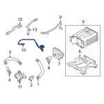 LC3Z9G297C - : Vapor Hose for Ford Image