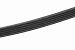 12578062 - Belts and Cooling: Alternator Belt for ACDelco Image