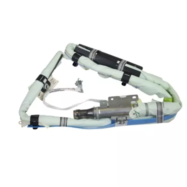 Head Air Bag - Ford (CP9Z-54042D95-A)