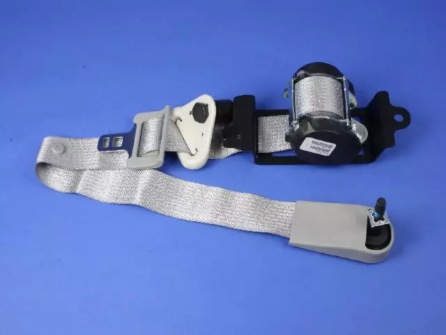 TS741DAAD - Electrical: Outer Belt for Chrysler: Pacifica Image