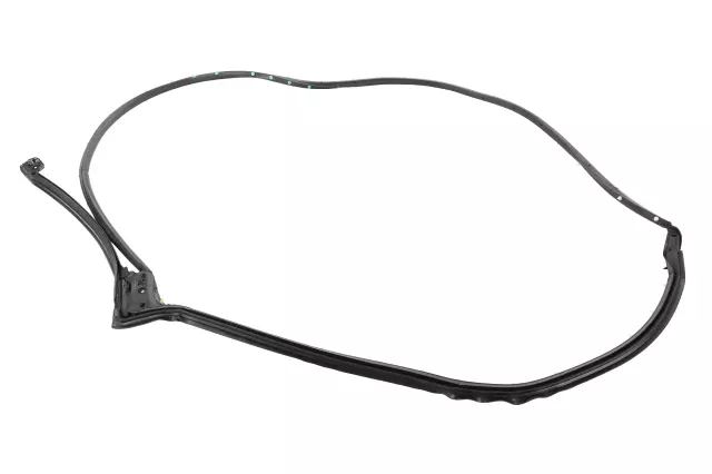 Door Weather-Strip - GM (84741728)