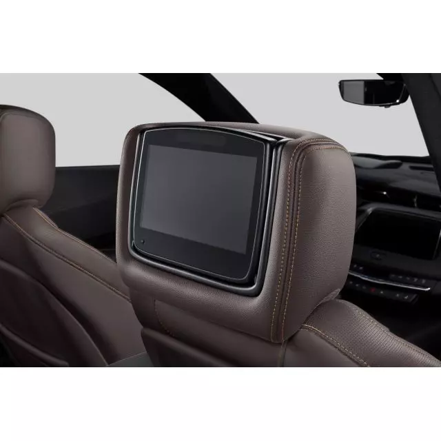 Headrest and Video Screen Assembly - GM (84339932)