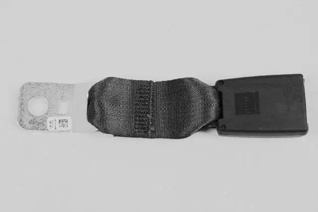 5KJ741J8AB - Interior Trim: Buckle Half Seat Belt for Mopar Image