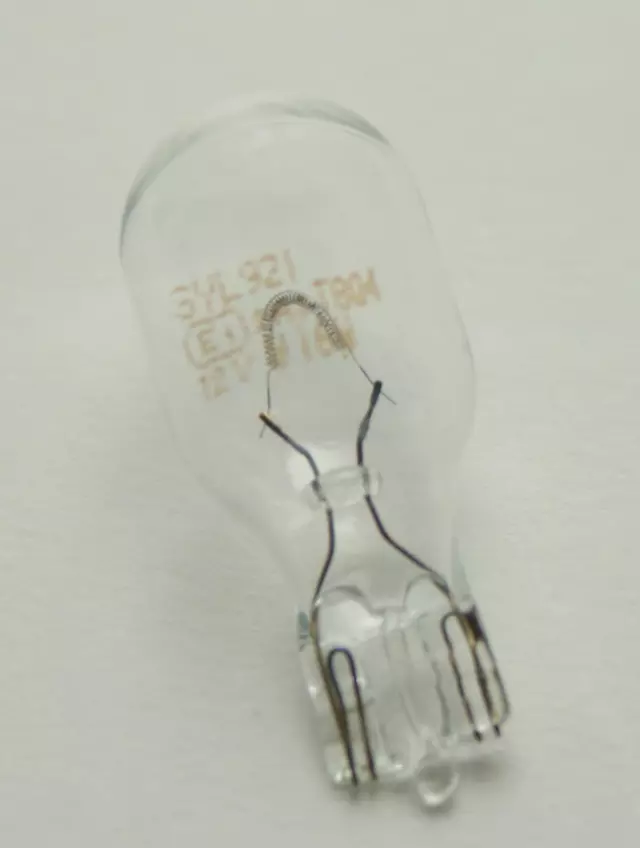 9098111059 - : Backup Lamp Bulb for Lexus: CT200h, ES250, ES300, ES300h, ES330, ES350, GS200t, GS300, GS350, GS430, GS450h, GS460, GX460, HS250h, IS F, IS200t, IS250, IS300, IS350, LS400, LS430, LS460, LS600h, LX470, LX570, NX200t, NX300, NX300h, RC F, RC Turbo, RC200t, RC300, RC350, RX300, RX330, RX350, RX350L, RX400h, RX450h, RX450hL, SC300, SC400 Image