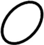 17342AT50A - Fuel System: O-Ring for Infiniti Image