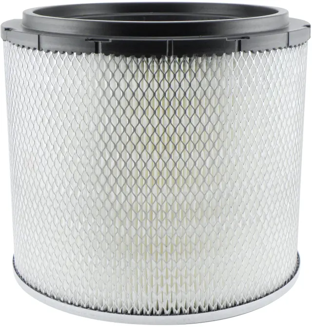 PA17052 - : Air Element with 2-Inch Pleats for Baldwin Image