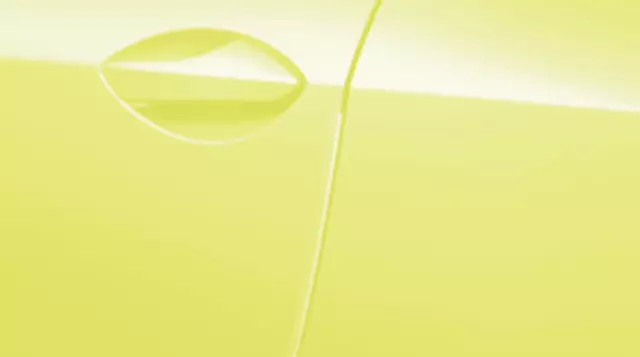 PT9362415005 - Exterior: Door Edge Guards - Flare Yellow for Lexus: RC F, RC300, RC350 Image