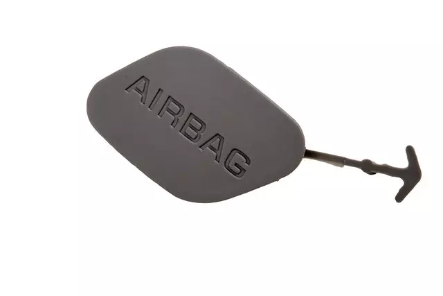 Light Titanium Driver Side Back Body Pillar Inner Panel Trim Panel Bolt Cover - GM (15871473)