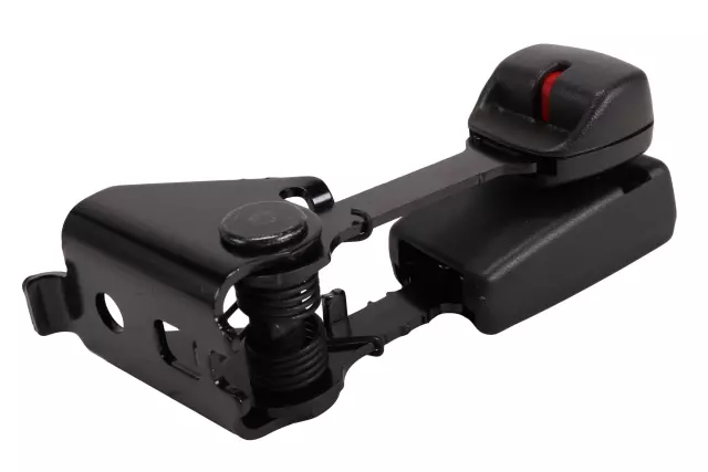 Buckle - GM (84779611)