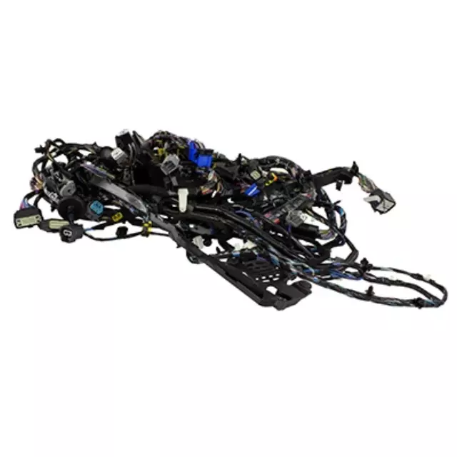 Wiring Assembly - Ford (H2BZ-14A005-AS)
