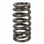 EL3Z6513A - Engine: Valve Springs for Ford: Crown Victoria, E-150, E-150 Club Wagon, E-150 Econoline, E-150 Econoline Club Wagon, E-250, E-250 Econoline, E-350 Club Wagon, E-350 Econoline, E-350 Econoline Club Wagon, E-350 Super Duty, E-450 Econoline Super Duty, E-450 Super Duty, E-550 Econoline Super Duty, E-550 Super Duty, Excursion, Expedition, Explorer, F-150, F-150 Heritage, F-250, F-250 Super Duty, F-350 Super Duty, F-450 Super Duty, F-550 Super Duty, Mustang, Thunderbird | Lincoln: Navigator, Town Car | Mercury: Cougar, Grand Marquis, Marauder, Mountaineer Image