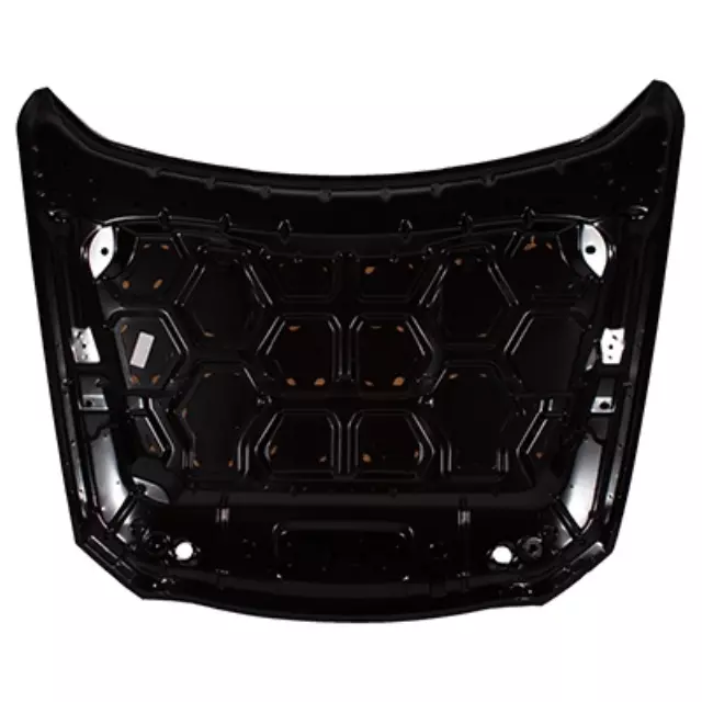 Hood - Ford (AG1Z-16612-A)