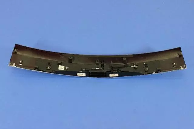 Lift-Gate Handle - Mopar (1SN16BR8AE)