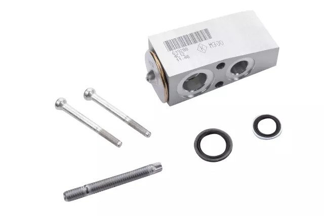 Air Conditioning Thermal Expansion Valve Kit with Tube Seals, Valve Seals, Valve, Plate, Stud, and Bolts - GM (95423626)