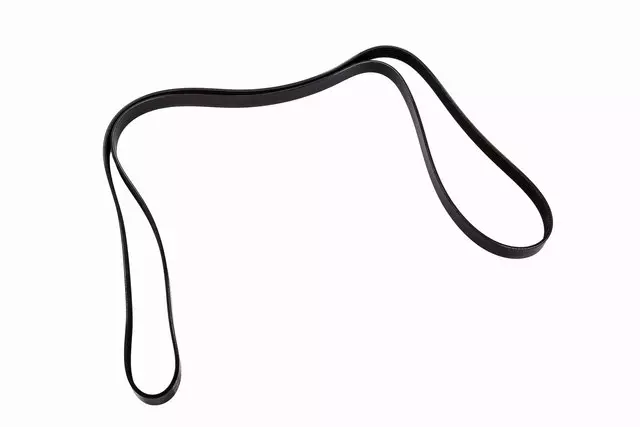 Belt,W/Pmp & A/C Cmpr & Gen & P/S Pump - GM (19244953)