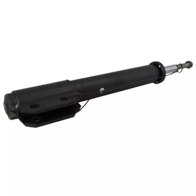 Motorcraft™ Strut - Ford (ASTV-25)