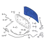 NL3Z16612C - Body: Hood for Ford Image