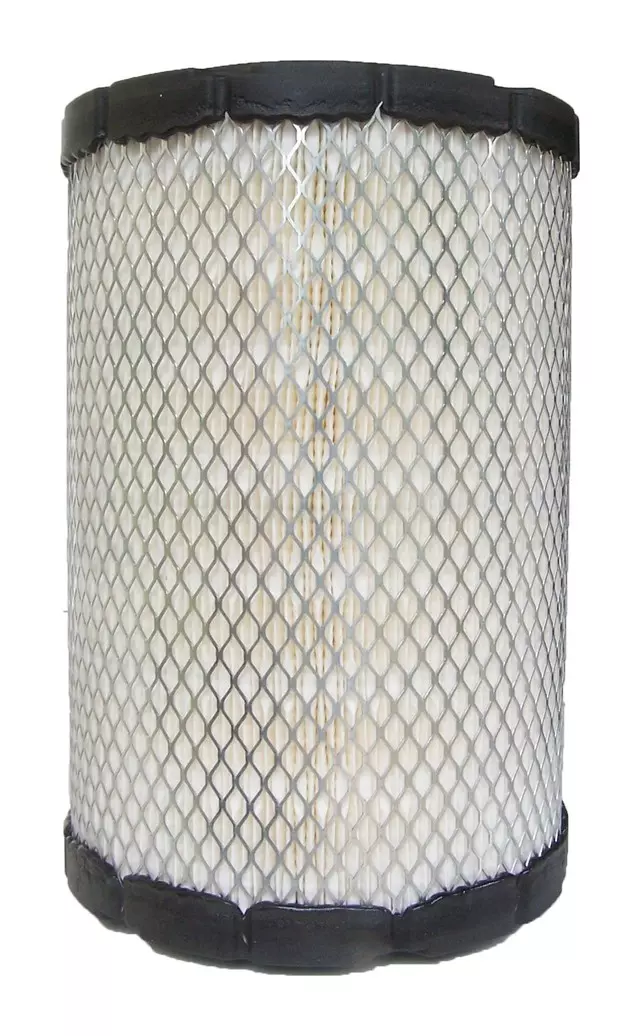 Air Filter - GM (25168082)