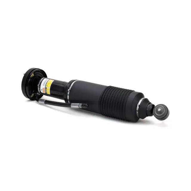 SK2417 - : Arnott Suspension Strut for Arnott Image