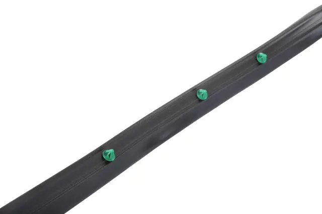 Rear Driver Side Door Weatherstrip - GM (84220315)