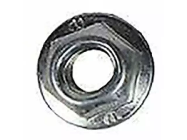 2012-2021 Ford Inlet Duct Retainer Nut - Ford (W520101-S437)