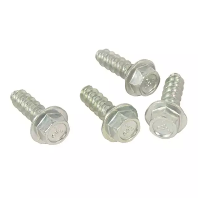 2013-2020 Ford Fog Lamp Assembly Screw - Ford (W507043-S437)