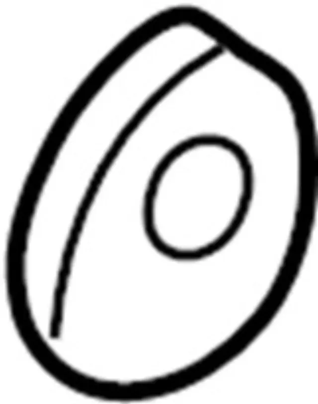 4058988G00 - Suspension: Axle Assembly Washer for INFINITI: QX4 Image